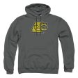 VOLTRON : LION SYMBOL ADULT PULL OVER HOODIE Charcoal 3X Online Sale